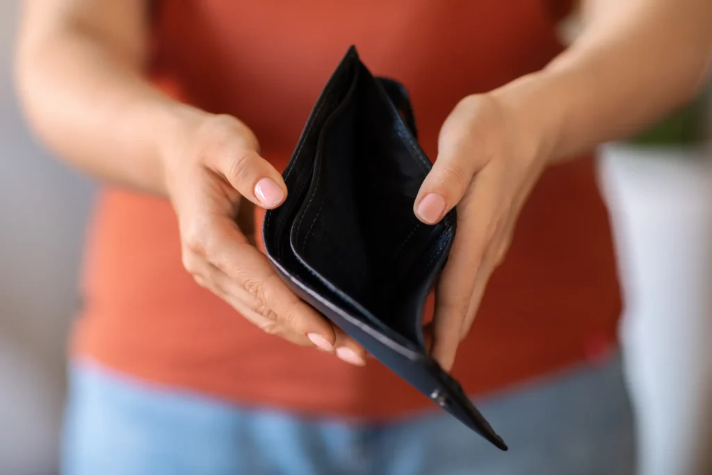 Geldfresser in der Schweiz Budget